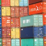 【多肉植物】韓国苗を輸入する方法!|Xplantの使い方教えます。