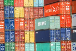 【多肉植物】韓国苗を輸入する方法！|Xplantの使い方教えます。