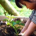 子供の感受性を豊かにする！家庭菜園の話
