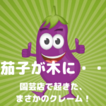 茄子(ナスビ)が木に・・|園芸店で起こったまさかのクレーム