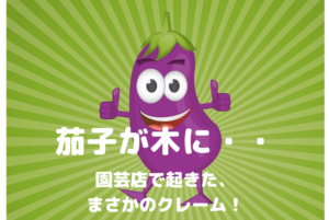茄子(ナスビ)が木に・・｜園芸店で起こったまさかのクレーム