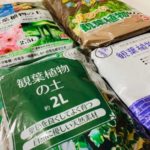 【観葉植物の土】100均の土は使える?各社の土を比較してみた!