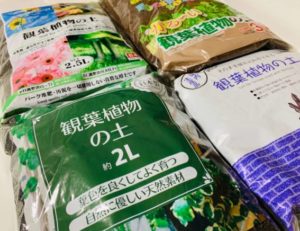 【観葉植物の土】１００均の土は使える？各社の土を比較してみた！