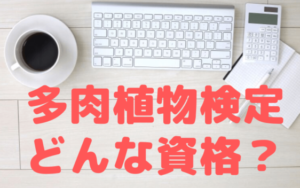 【2019年創設】多肉植物検定ってどんな資格？難易度は？