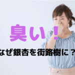 【臭い銀杏】なぜ街路樹に？