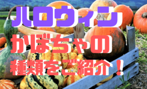 ハロウィンで飾る【かぼちゃ】おもしろい種類を厳選してご紹介！！