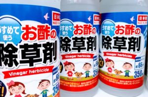 【100均ダイソーの除草剤】お酢の除草剤は効果あるの？