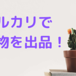 メルカリで植物は出品できる?発送方法、注意点は?