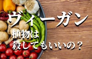 【ヴィーガン】「植物なら殺して良い？」　本当の答えとは
