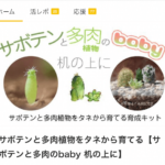 クラウドソーシングから生まれた|「サボテンと多肉のbaby」買ってみた