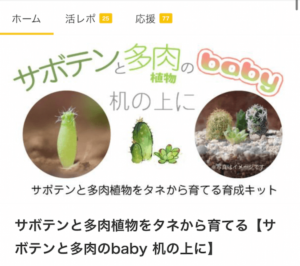 クラウドソーシングから生まれた｜「サボテンと多肉のbaby」買ってみた