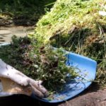 元ホームセンター社員が教える|除草・防草方法7選!