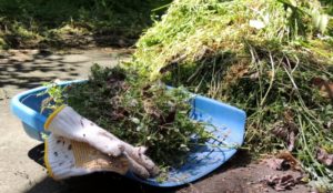 元ホームセンター社員が教える｜除草・防草方法７選！