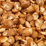 シイタケ、シメジ、エノキ|キノコの生食がダメな理由とは?