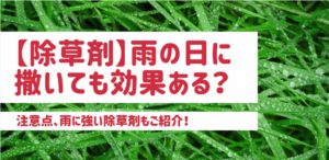 【除草剤】雨の日に撒いても効果ある？｜雨に強い除草剤もご紹介！