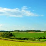 田舎への移住はなぜ失敗しやすいのか?|根本的な原因とは・・?