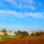 都市型農業とは|メリット、デメリット、新規就農に向いている!?