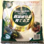 キャンドゥのプレミアム観葉植物を育てる土(220円)の品質は?100円商品と比べてみた!
